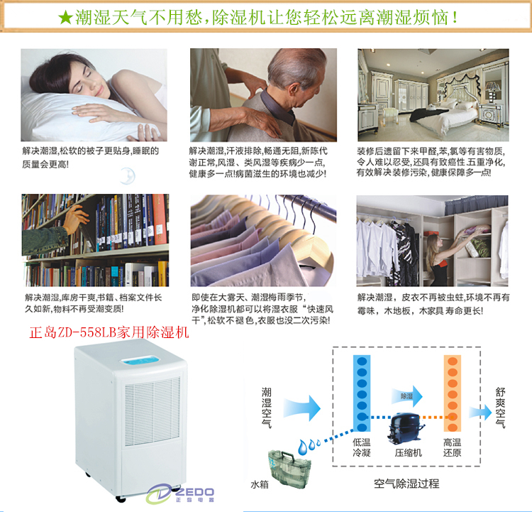 別墅除濕機(jī)