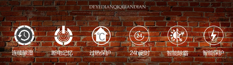 室內泳池除濕機