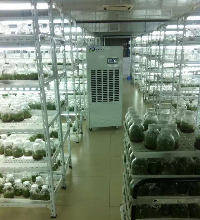 溫室大棚除濕機