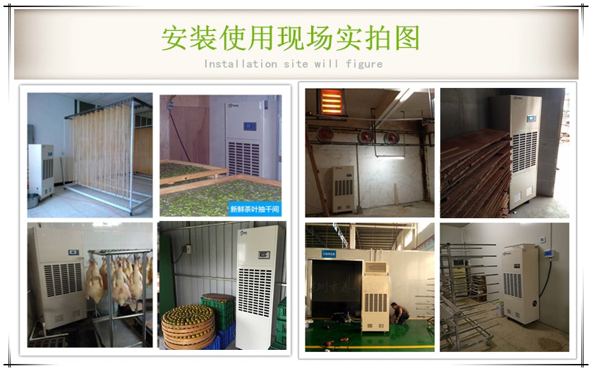 陳皮烘干除濕機