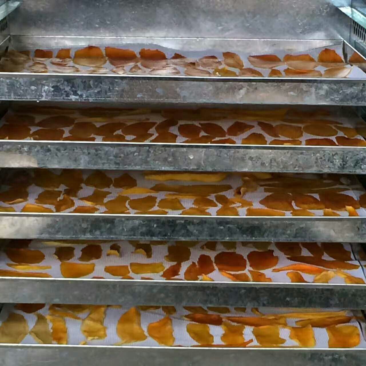 芒果烘干除濕機