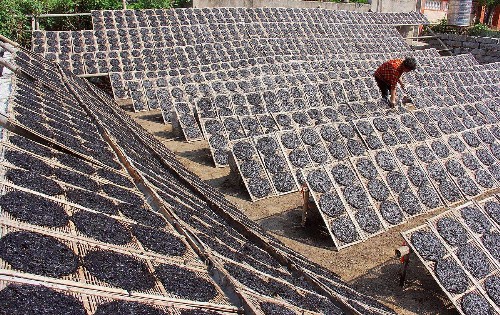 紫菜烘干除濕機(jī)
