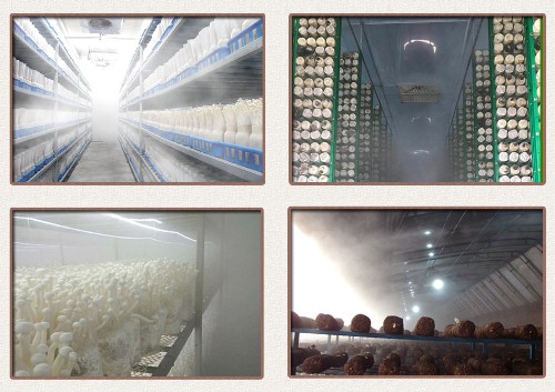 菌菇房加濕機(jī)