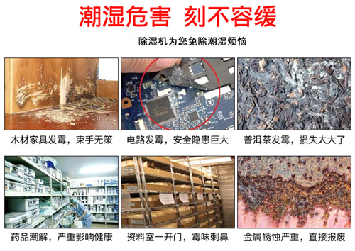 好用不貴的除濕機