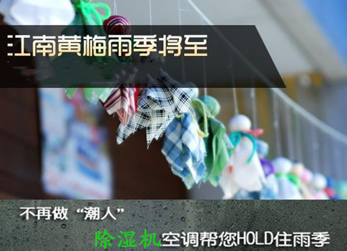 快速清除潮氣用除濕機(jī)