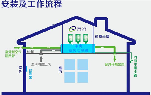戶式新風除濕機