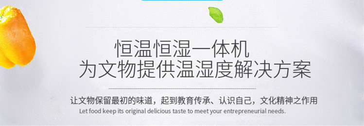 展柜恒溫恒濕機