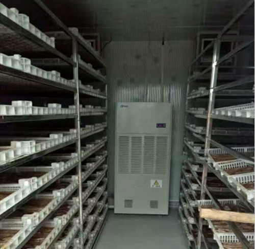 哈密瓜烘干除濕機(jī)