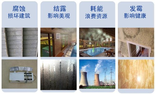 壁掛式泳池除濕機