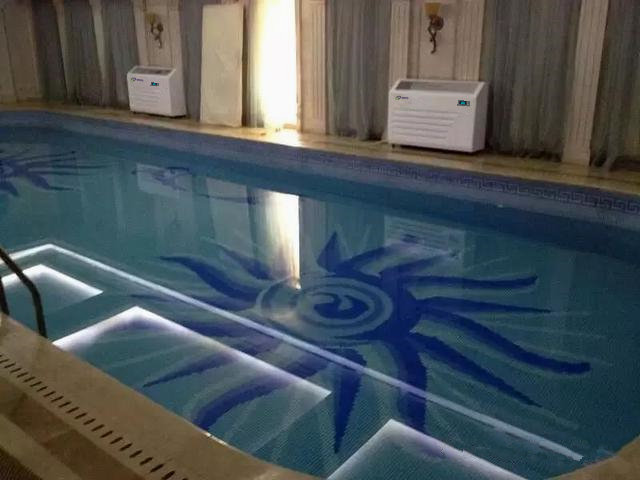 壁掛式泳池除濕機