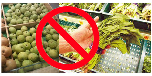 鮮貨霧化保濕機