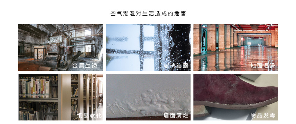 除濕新風(fēng)機