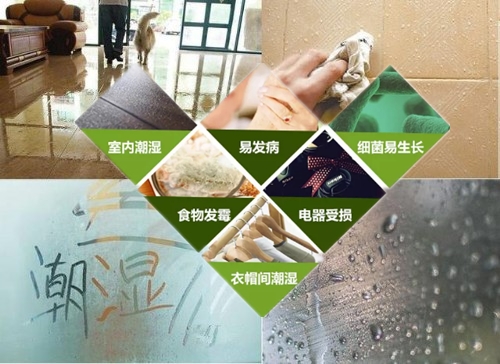 吊頂除濕機(jī)