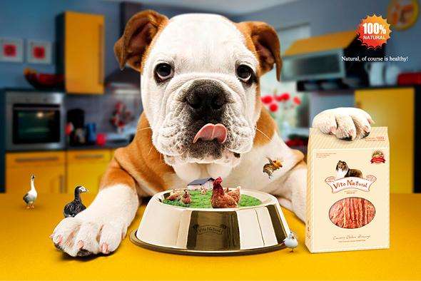 寵物食品烘干機