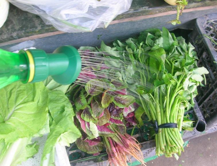 蔬菜噴霧加濕機