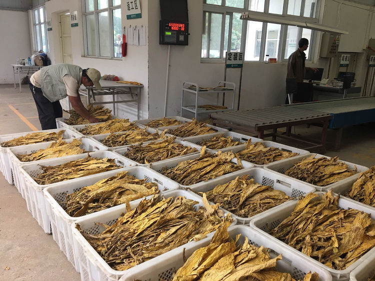 煙站專用回潮機