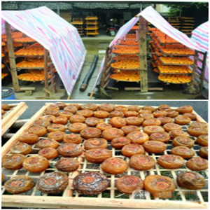 柿餅烘干除濕機 柿餅烘干除濕機