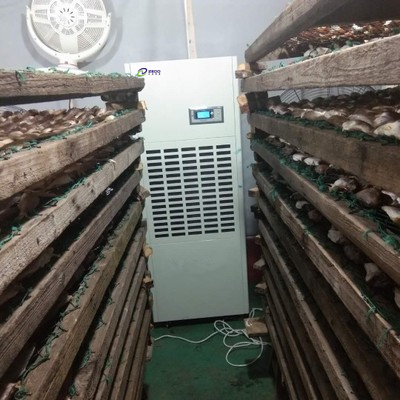 柿餅烘干除濕機 柿餅烘干除濕機