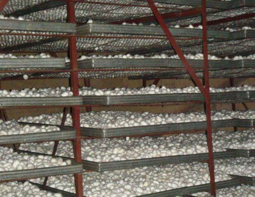 蠶繭脫水除濕機(jī)