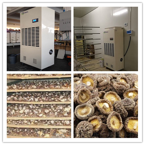 1603113801857723824.jpg 香菇除濕機.jpg