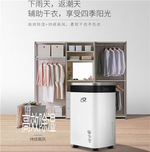 1619254352423578079.jpg 正島ZD-558LB家用除濕機(jī)3.jpg