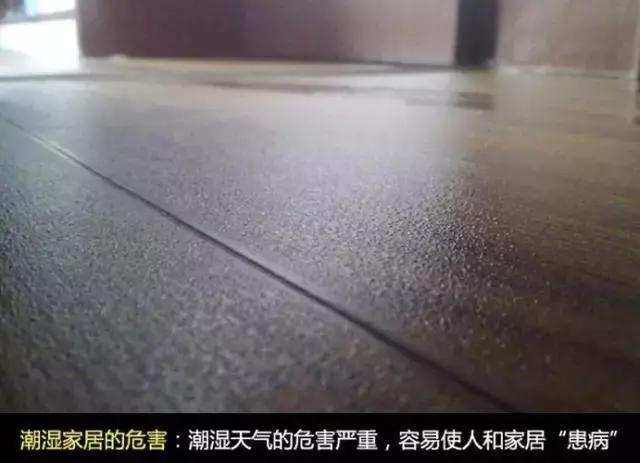 空氣除濕器.jpg 空氣除濕器.jpg