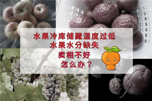 氣調(diào)保鮮庫加濕機