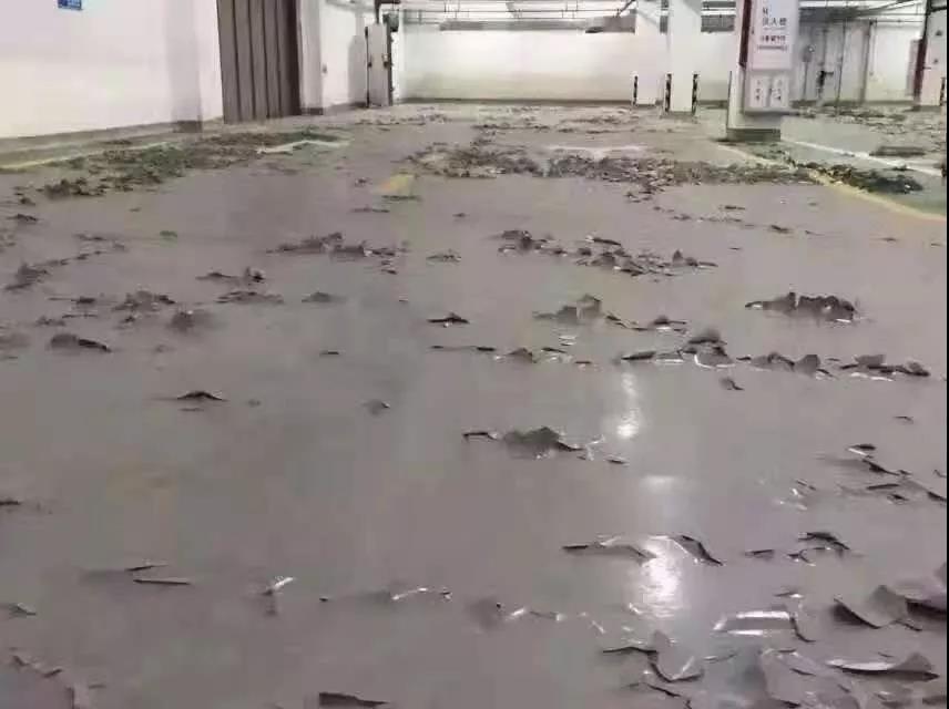 地坪施工除濕機