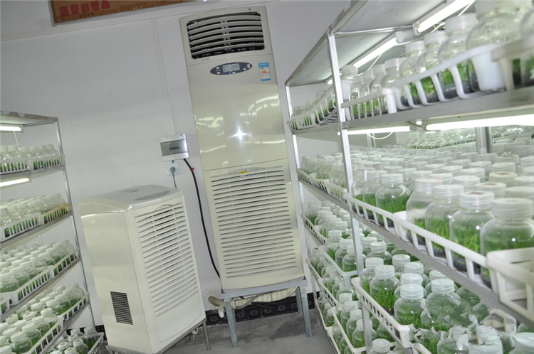 溫室大棚控濕機