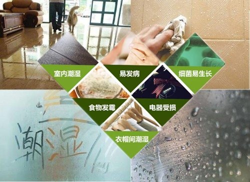 1627375776075460961.jpg 潮濕的危害.jpg