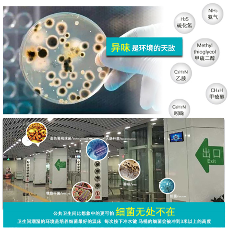 智能除菌除臭凈化機 智能除菌除臭凈化機