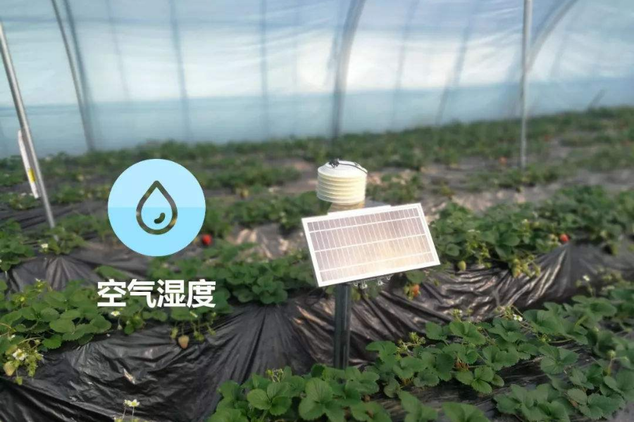種植大棚除濕機 種植大棚除濕機