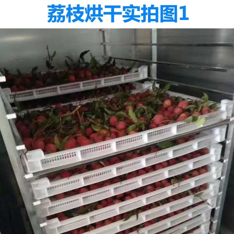 荔枝烘干機(jī)