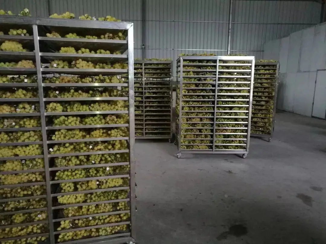 葡萄干烘干工藝 葡萄干烘干工藝