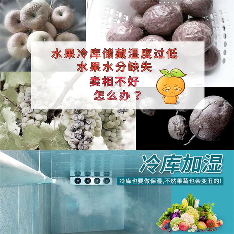 保鮮冷庫(kù)加濕設(shè)備