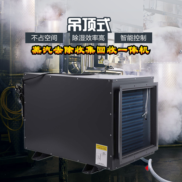 智能蒸汽去除機