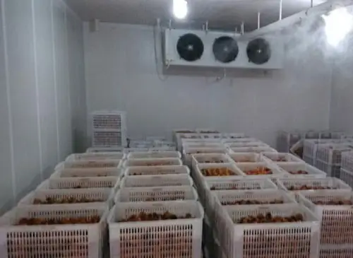 冷庫保鮮加濕系統(tǒng) 冷庫保鮮加濕系統(tǒng)