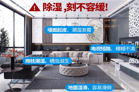 家里潮濕怎么辦？