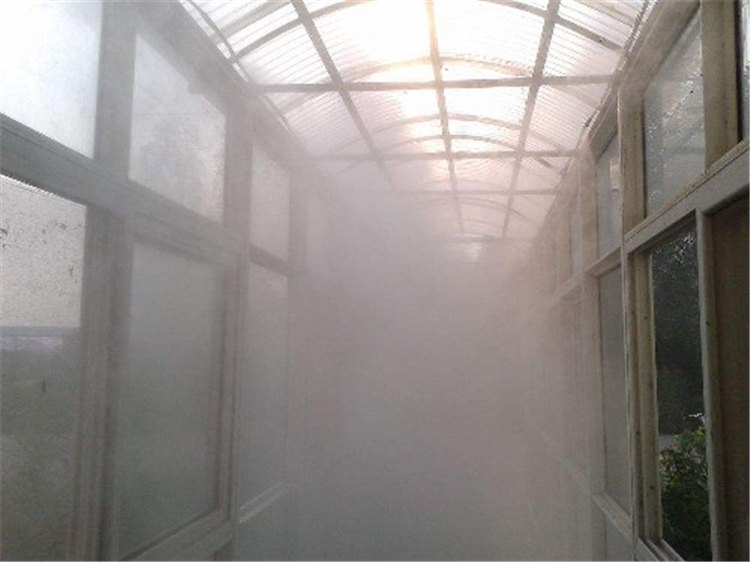 養殖場人員通道消毒機 養殖場人員通道消毒機