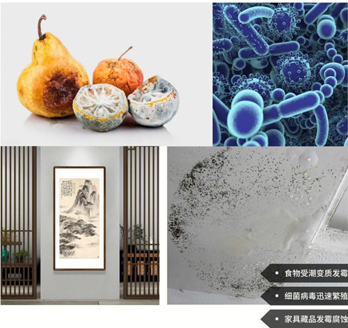 商用除濕機(jī)