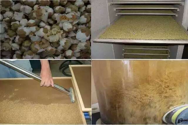 花粉如何快速烘干？