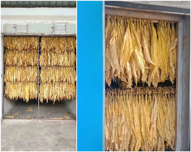 烤煙房如何快速回潮？