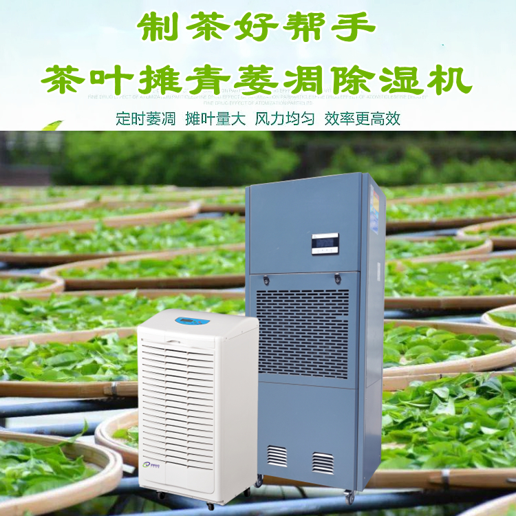 茶葉攤青房除濕機
