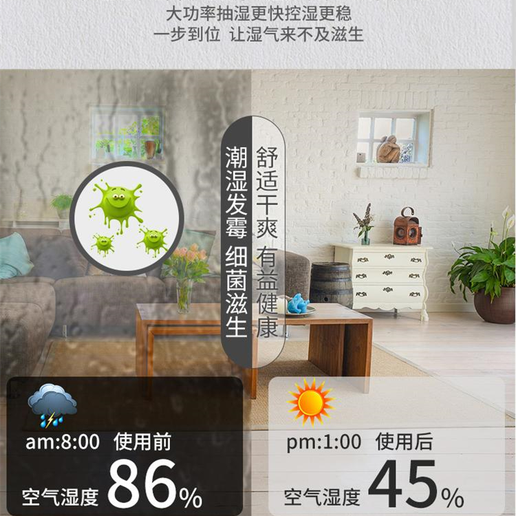 家用凈化除濕器 家用凈化除濕器