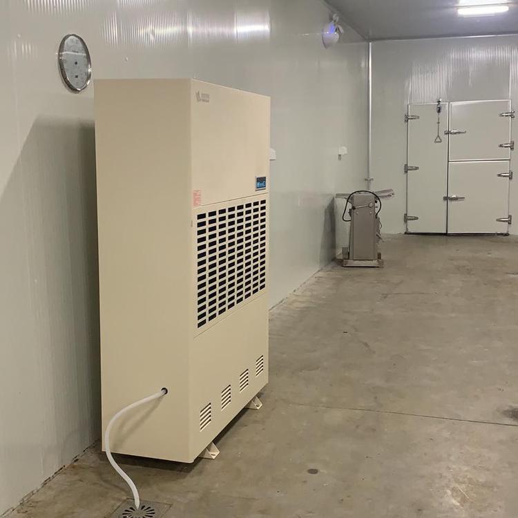 低溫型冷庫除濕機