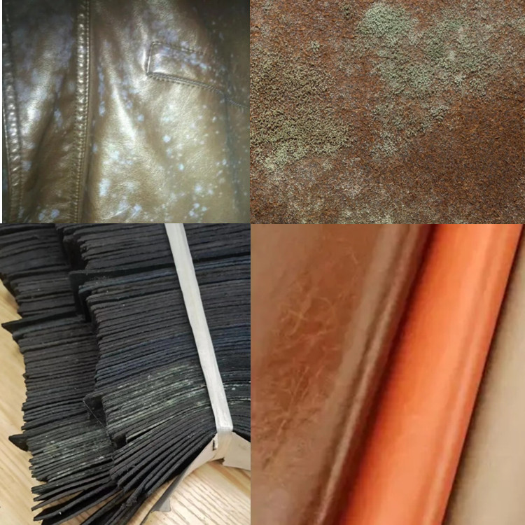 皮具廠倉(cāng)庫(kù)除濕機(jī)