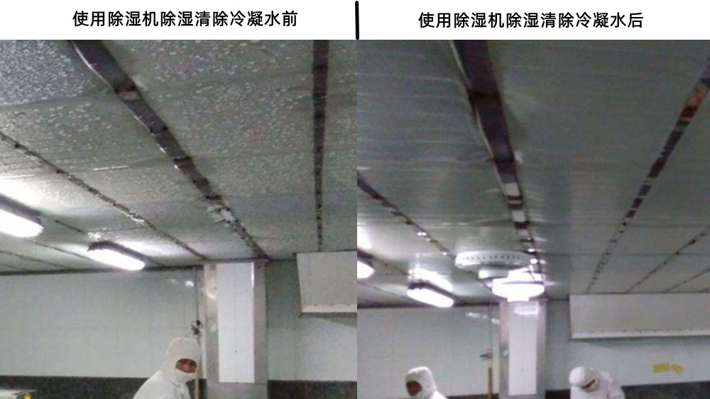 去除冷凝水的除濕機 去除冷凝水的除濕機