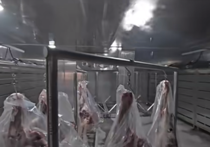 低溫高濕解凍加濕機